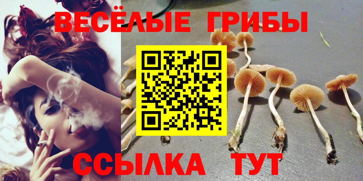 Галлюциногенные грибы Psilocybine cubensis Иваново